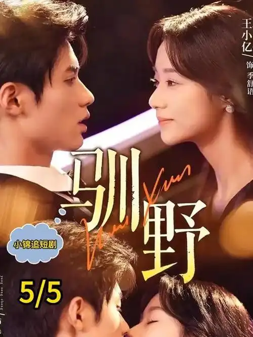 长夜将明 全集免费在线观看